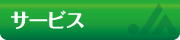 �T�[�r�X