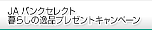 JAoNZNg炵̈iv[gLy[